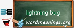WordMeaning blackboard for lightning bug